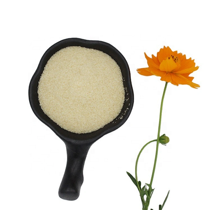 Halal gelatin Halal beef bone gelatin manufacturers